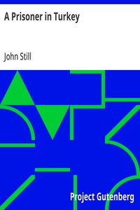 Cover of A Prisoner in Turkey — Background and Themes